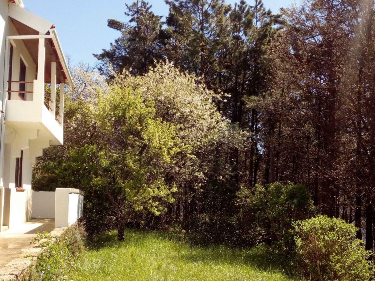 Casa Cerro Da Correia Guest House Manteigas Bagian luar foto